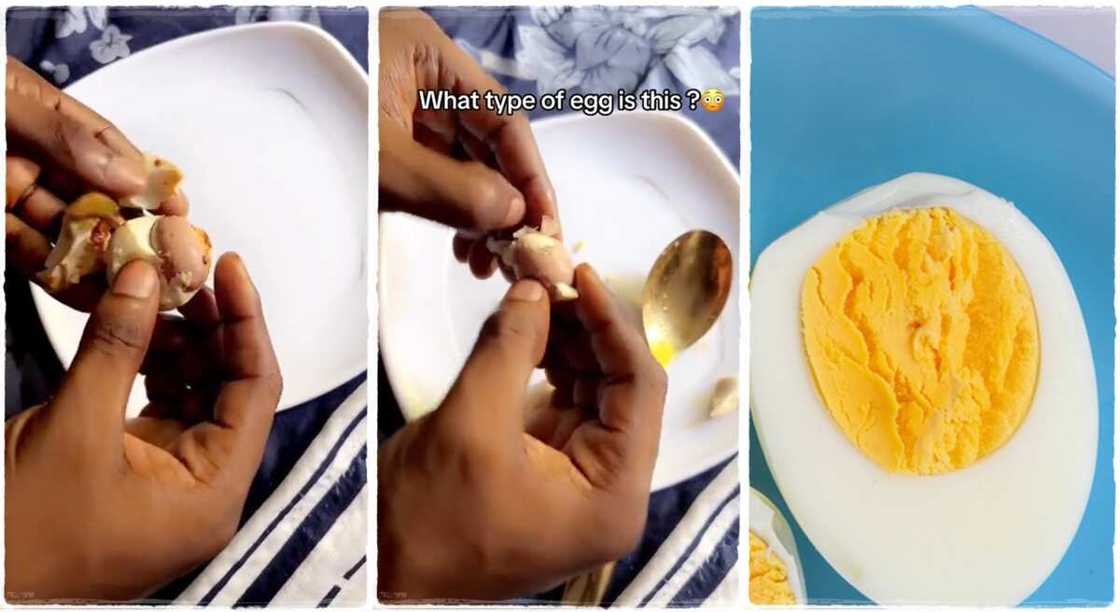Man discovers a second egg inside a boiled egg. Man discovers a second egg inside a boiled egg.