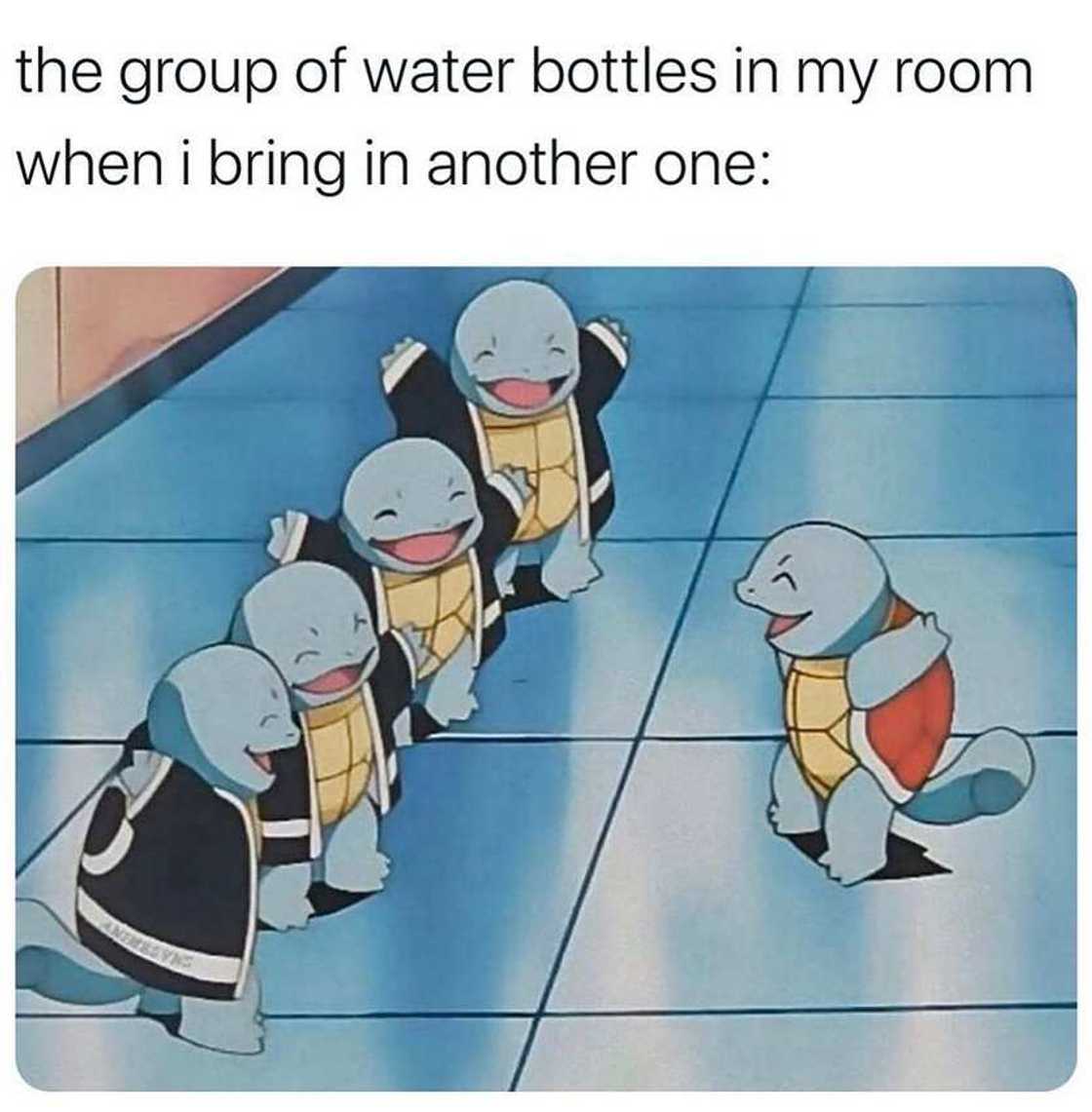 Pokémon memes Pokémon memes