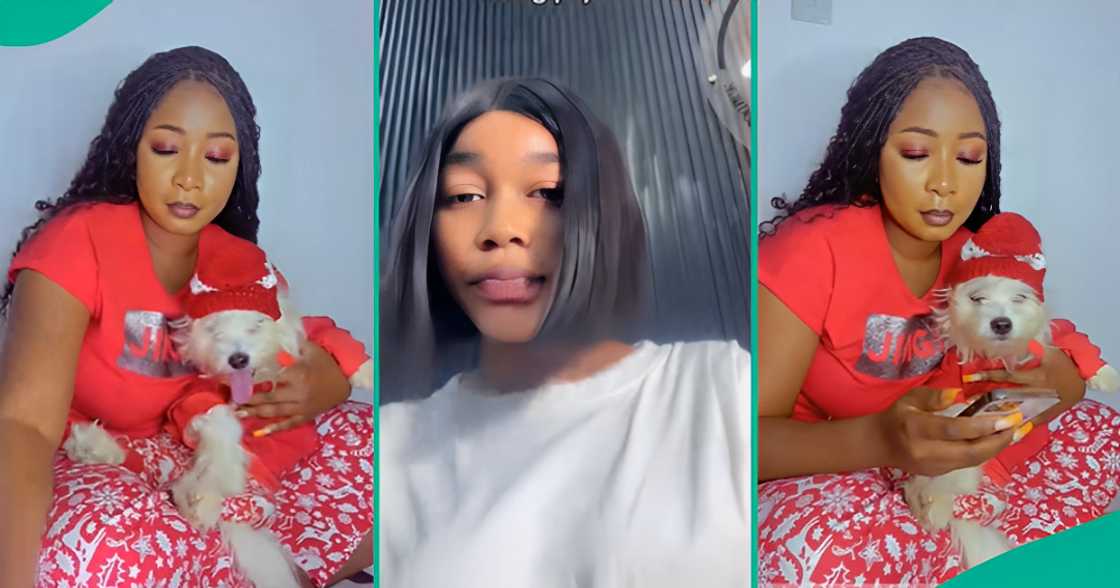 Lady goes viral on social media after wearing matching Christmas Pyjamas with her dog. Lady goes viral on social media after wearing matching Christmas Pyjamas with her dog.