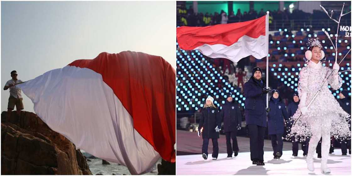 Indonesia and Monaco flags