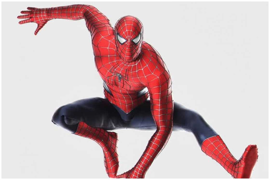 Spider-Man Spider-Man
