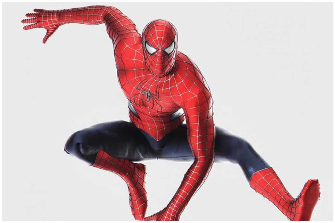 Spider-Man