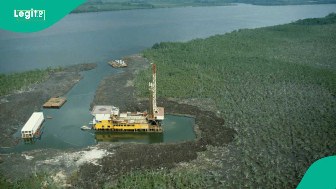 oil block licensing Nigeria, NUPRC Gbenga Komolafe, 2024 licensing round, Petroleum Industry Act PIA, oil and gas transparency Nigeria, TNN anti-corruption oil block licensing Nigeria, NUPRC Gbenga Komolafe, 2024 licensing round, Petroleum Industry Act PIA, oil and gas transparency Nigeria, TNN anti-corruption