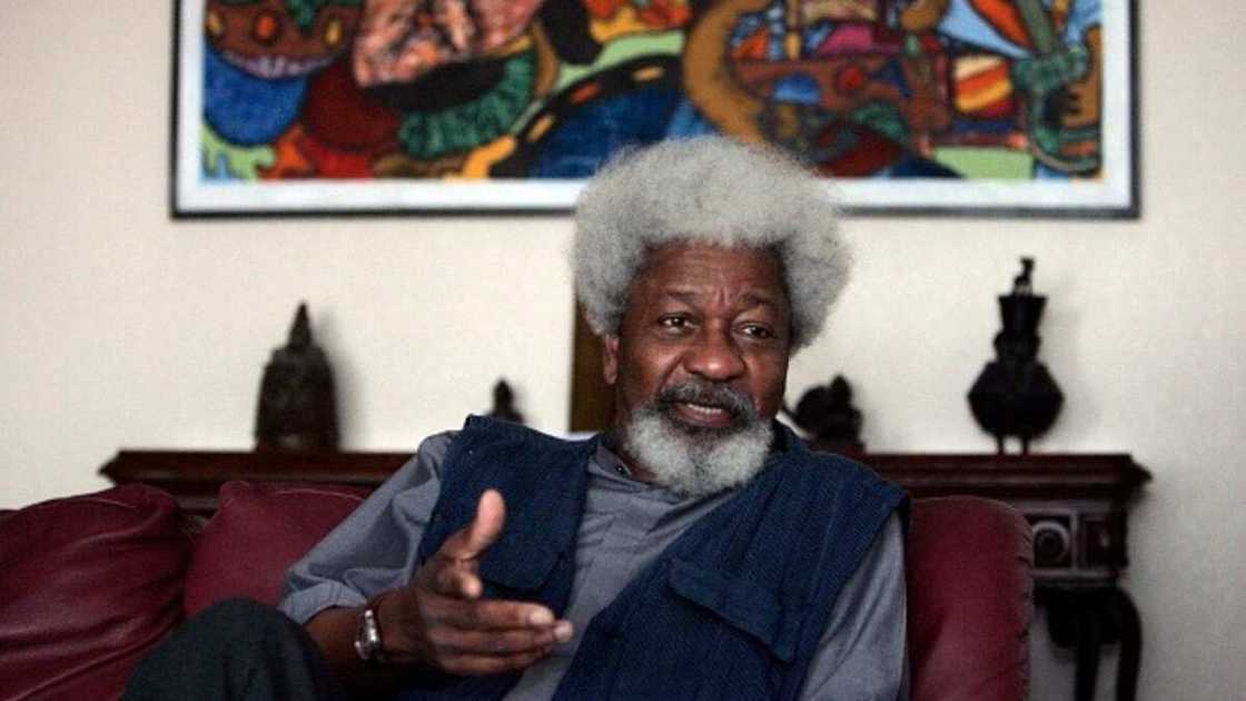 Herdsmen crisis: Police confirm cows strayed into Soyinka’s compound, reveals owner Herdsmen crisis: Police confirm cows strayed into Soyinka’s compound, reveals owner