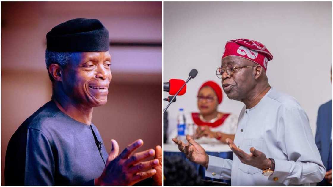 Osinbajo/Tinubu/APC Presidential Candidate/2023 Elections/Senator Gaya