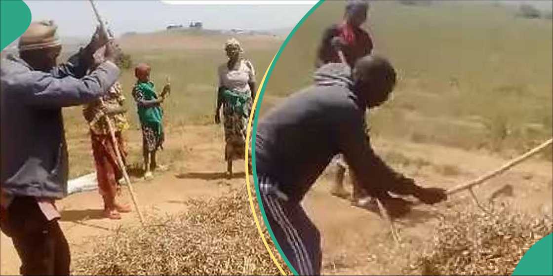 Fulani Berom Fulani Berom