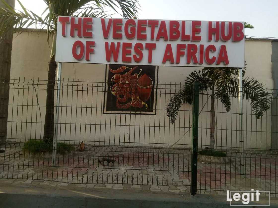 A view of Mile 12 international market, Mile 12, Lagos. Photo credit: Esther Odili A view of Mile 12 international market, Mile 12, Lagos. Photo credit: Esther Odili