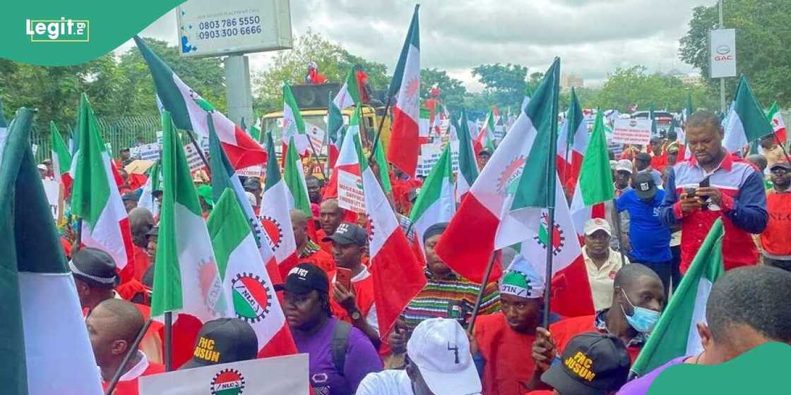 NLC, FG NLC, FG