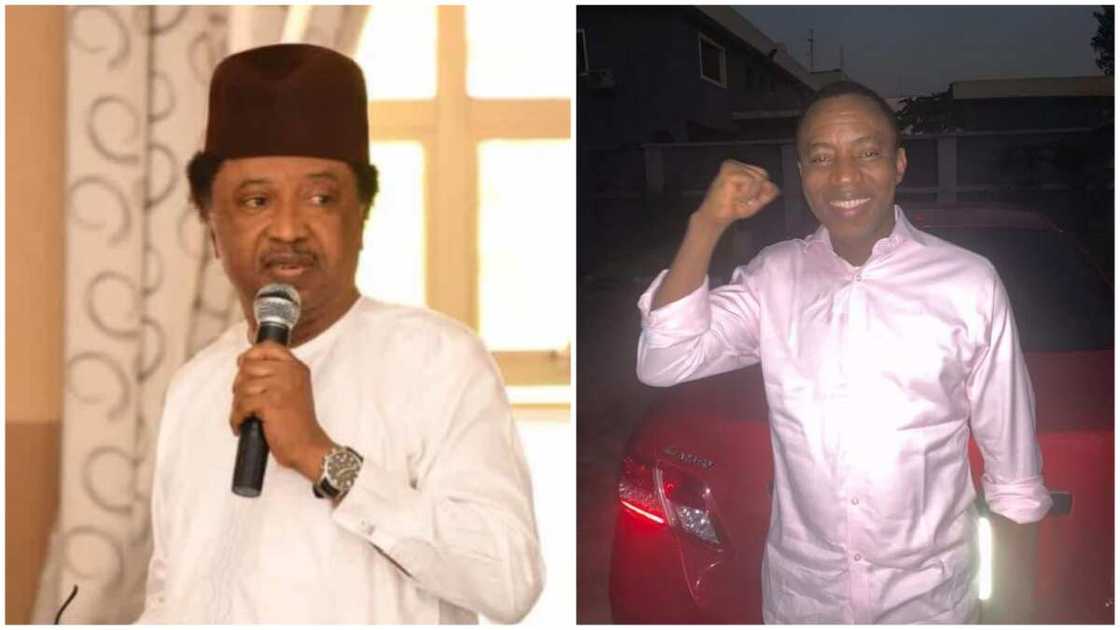 Shehu Sani reacts to arrest of Sowore Shehu Sani reacts to arrest of Sowore