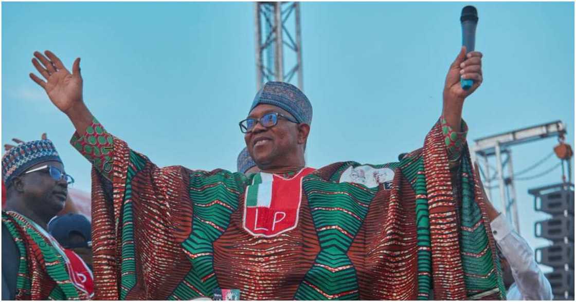 Zamfara state chapter of the Labour Party, 2023 election, APC, Peter Obi Zamfara state chapter of the Labour Party, 2023 election, APC, Peter Obi