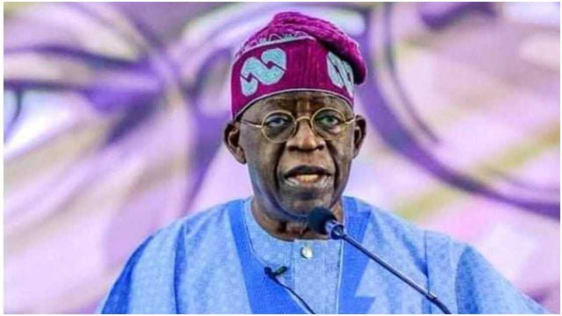 Ta kusa karewa Tinubu, an nemi korarsa a takar Ta kusa karewa Tinubu, an nemi korarsa a takar