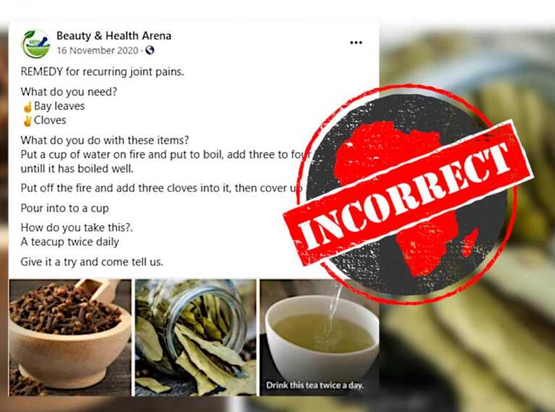 Babu wata hujjar kimiyya mai nuna cewa ganyen Bay da Kanunfari na maganin ciwon jiki Babu wata hujjar kimiyya mai nuna cewa ganyen Bay da Kanunfari na maganin ciwon jiki