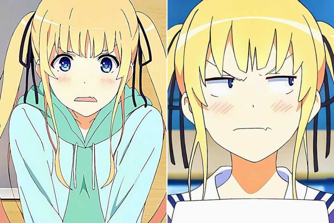 Eriri Spencer Sawamura from How to Raise a Boring Girlfriend Eriri Spencer Sawamura from How to Raise a Boring Girlfriend