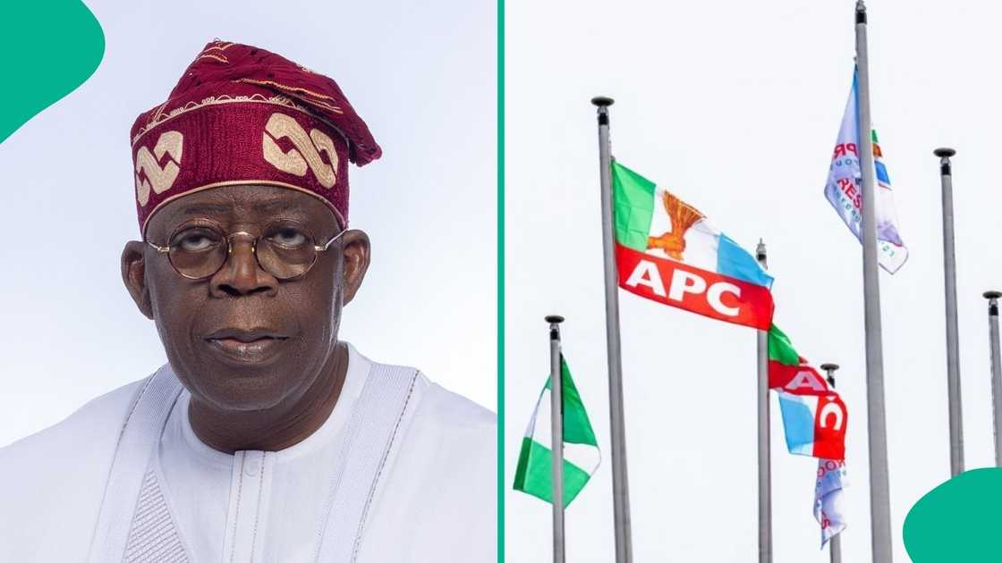 Fresh Twist as Lawyers Head to Court Over APC Presidential Primary, "Tinubu Must Be Disqualified"
