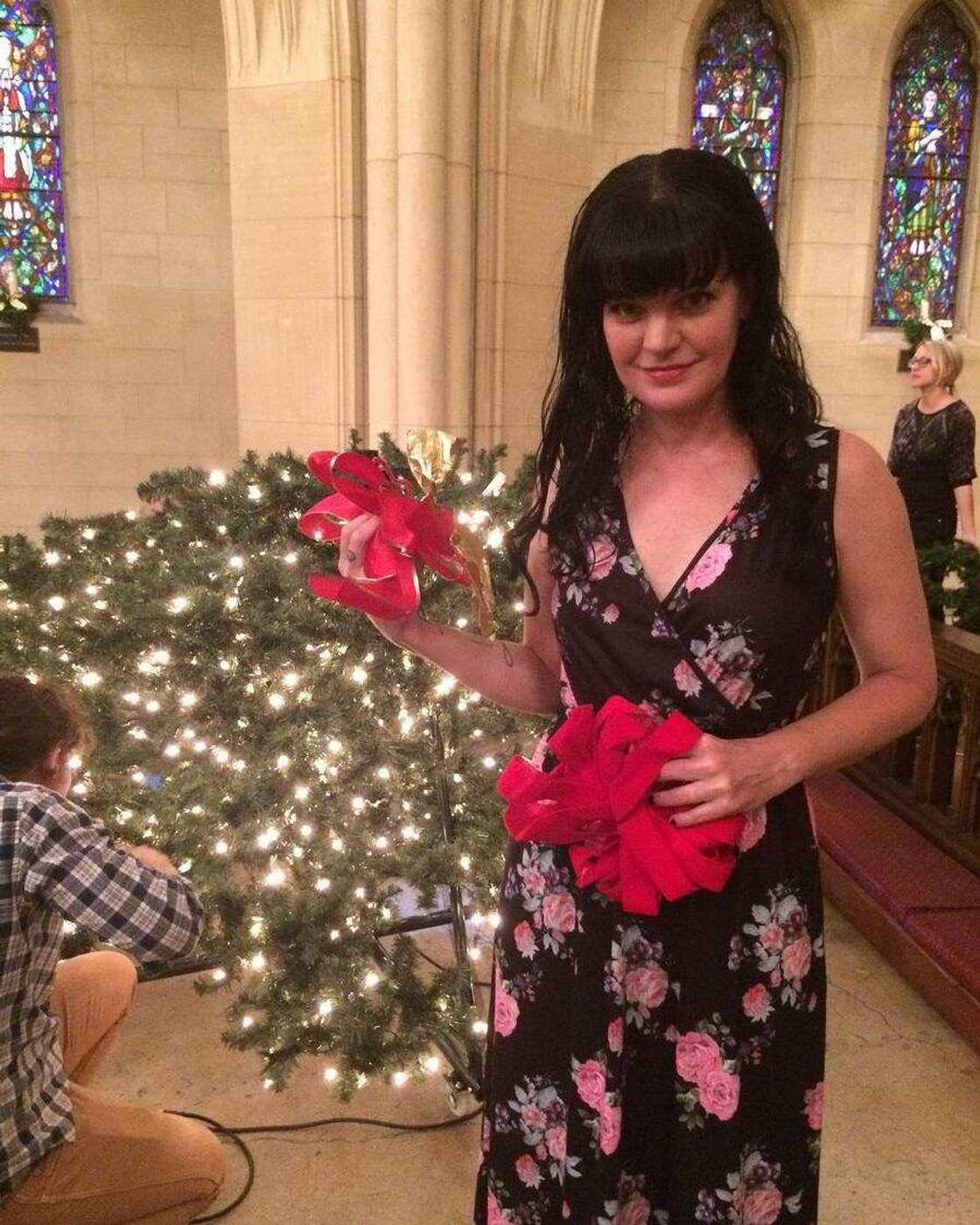 Pauley Perrette biography