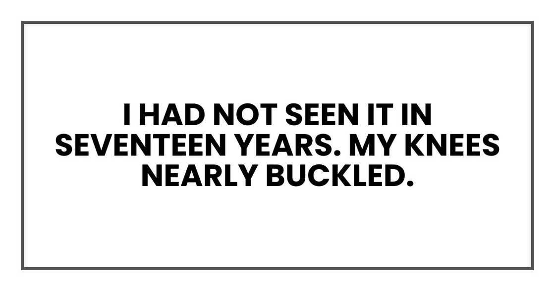 I had not seen it in seventeen years. My knees nearly buckled.