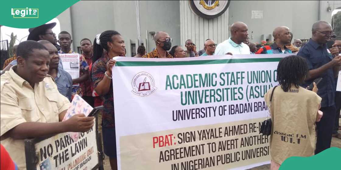ASUU members protest in Ibadan, calling on FG to honour renegotiated agreements.