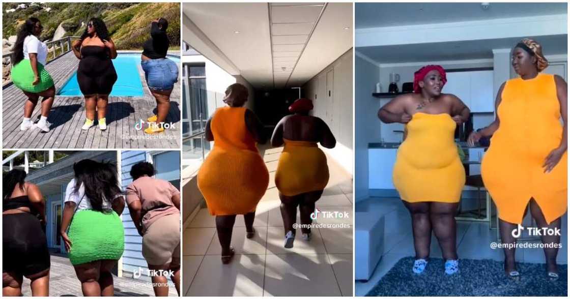 Curvy women, enjoying themselves, video of curvy women Curvy women, enjoying themselves, video of curvy women