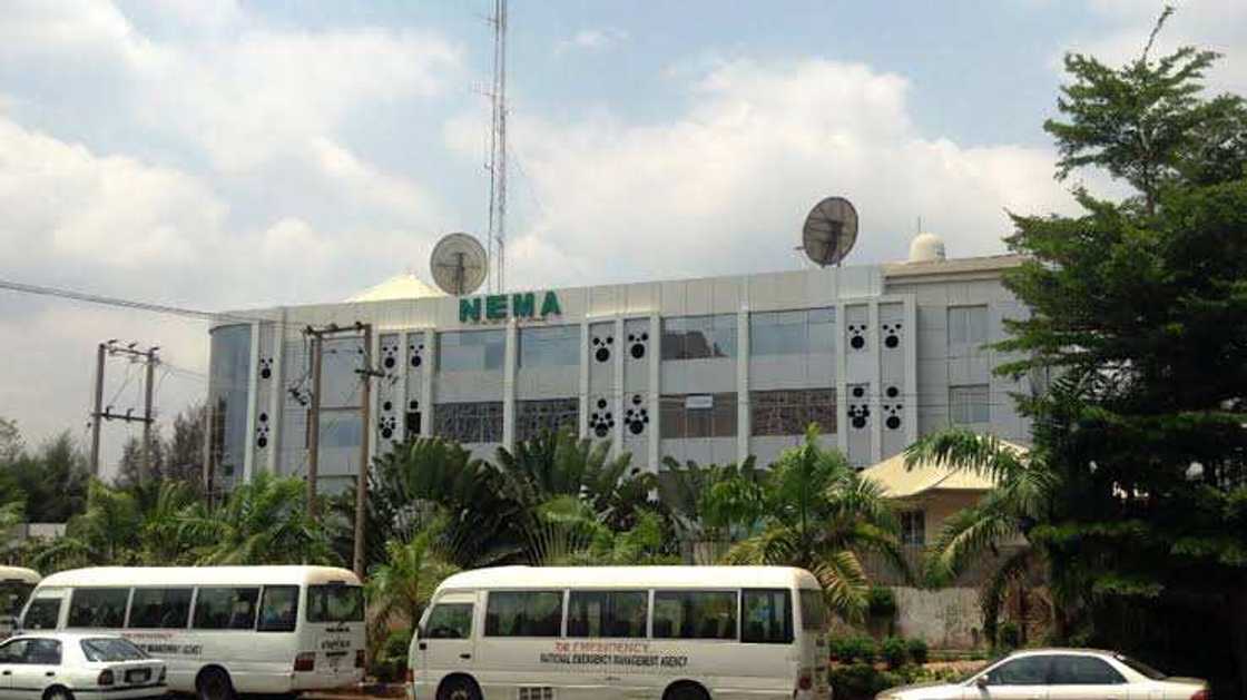 Hukumar NEMA ta tabbatar da mutuwar dan ƙunar baƙin wake da ya je tayar da bam a Abuja Hukumar NEMA ta tabbatar da mutuwar dan ƙunar baƙin wake da ya je tayar da bam a Abuja