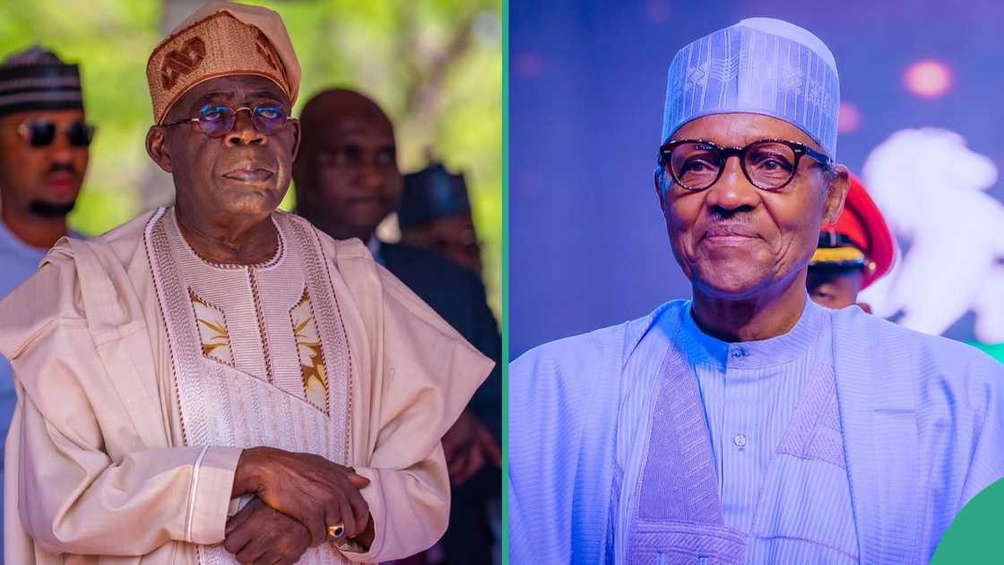 Tinubu Renames University Of Maiduguri After Buhari Tinubu Renames University Of Maiduguri After Buhari