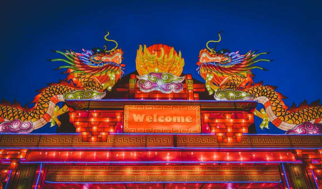 Two dragon images on a building Two dragon images on a building