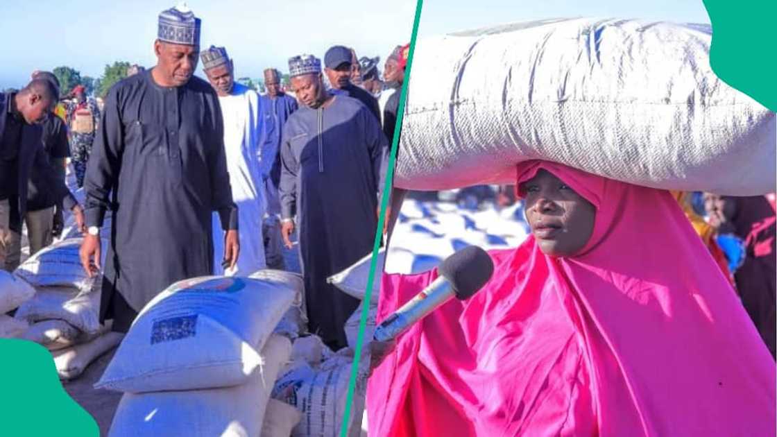 Borno governor Zulum decries rising Boko Haram attacks Borno governor Zulum decries rising Boko Haram attacks