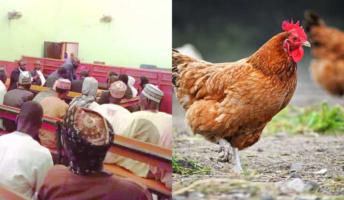 Court, Hen Court, Hen