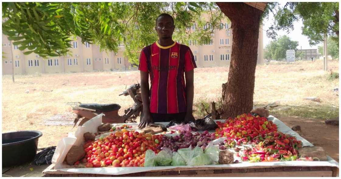 Lukman Suleiman, Usmanu Danfodiyo University Teaching Hospital Sokoto, Nigerian graduate selling tomatoes Lukman Suleiman, Usmanu Danfodiyo University Teaching Hospital Sokoto, Nigerian graduate selling tomatoes