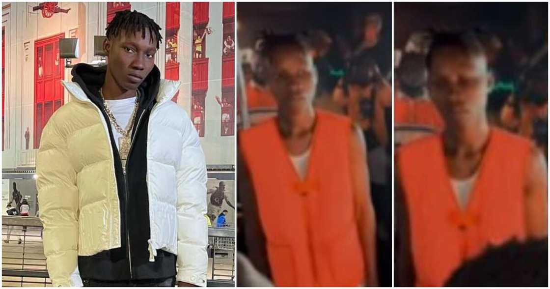 Zinoleesky Zinoleesky