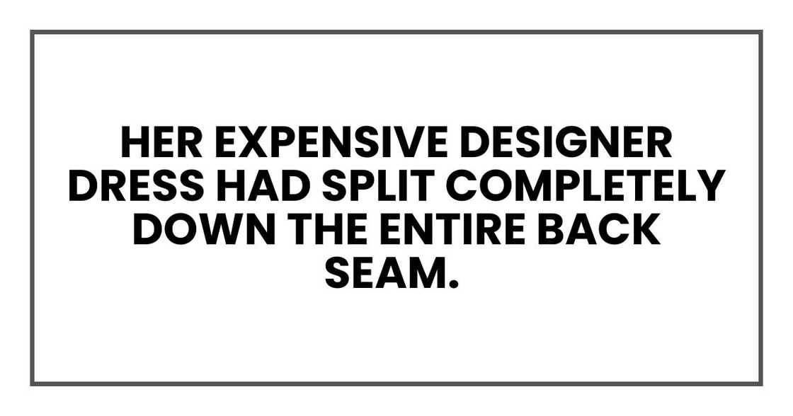 Her expensive designer dress had split completely down the entire back seam. Her expensive designer dress had split completely down the entire back seam.