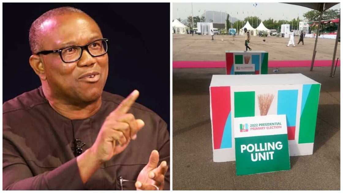 Peter Obi, APC, 2023 presidential primary, politics in Nigeria Peter Obi, APC, 2023 presidential primary, politics in Nigeria
