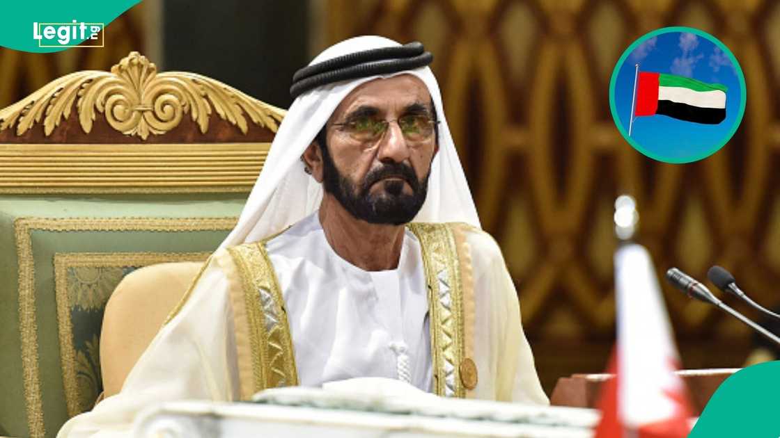 Dubai names 3 visa options for foreigners visiting family members or friends