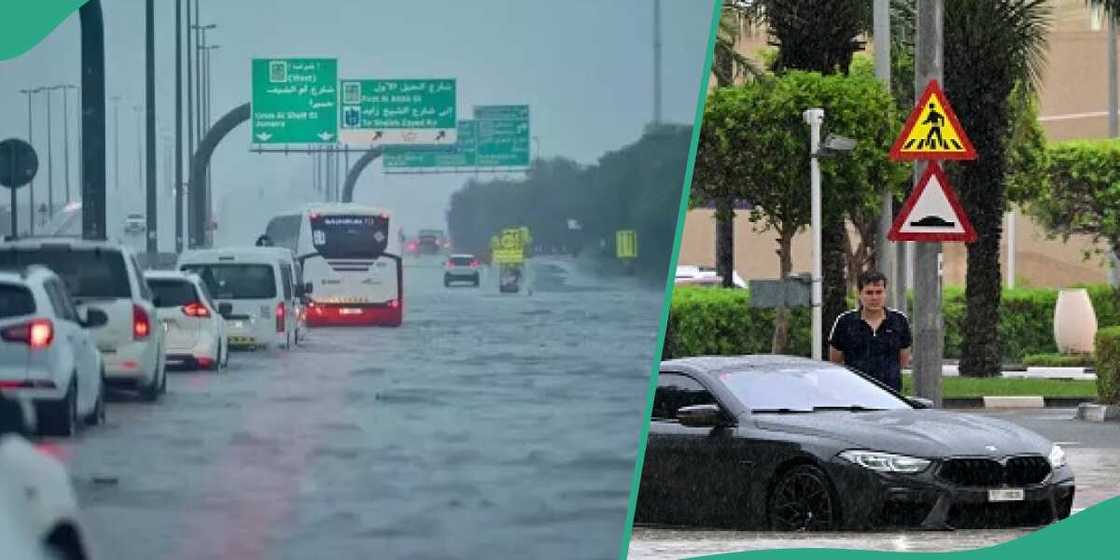 UAE has reported cancelled and delayed flights in and out of Dubai, asking students and people to study and work from home as heavy rain returned to the Emirates. UAE has reported cancelled and delayed flights in and out of Dubai, asking students and people to study and work from home as heavy rain returned to the Emirates.