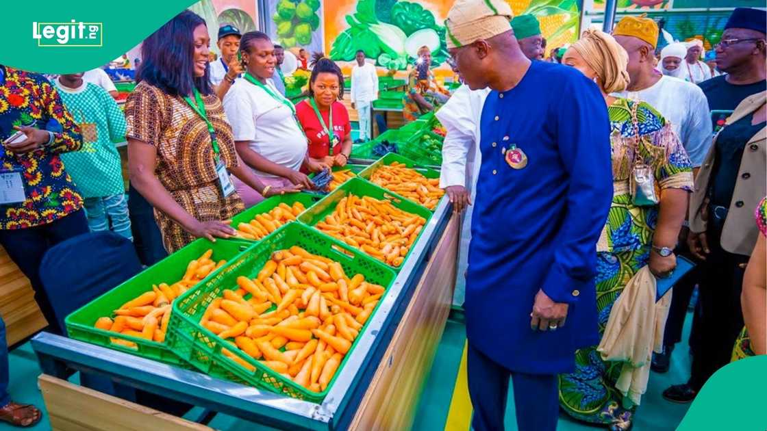 Governor of Lagos State, Babajide Sanwolu, to initiate a food programme Governor of Lagos State, Babajide Sanwolu, to initiate a food programme