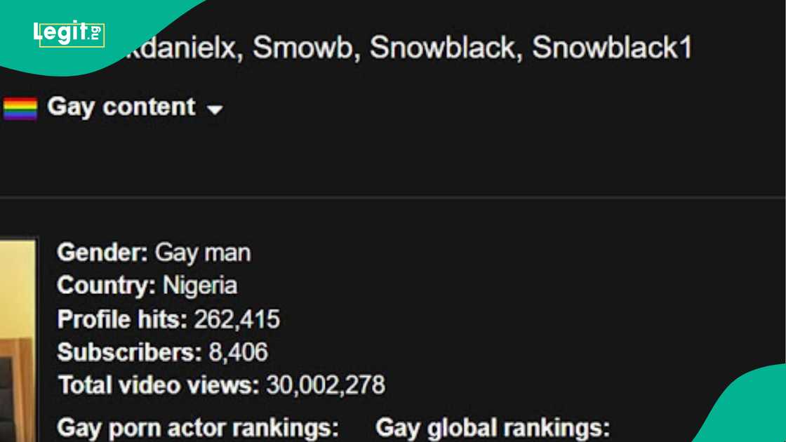 Legit.ng's story on adult industry controversy in Nigeria Legit.ng's story on adult industry controversy in Nigeria