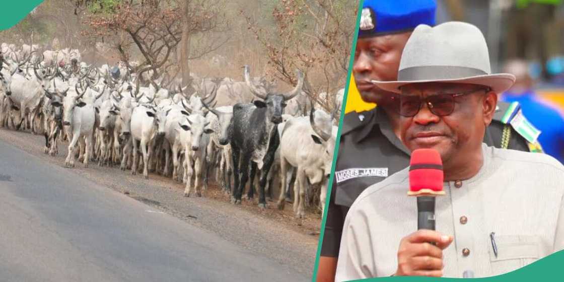 Minista ya sha akwashin dakile matsalar da Fulani ke jawo wa a Abuja