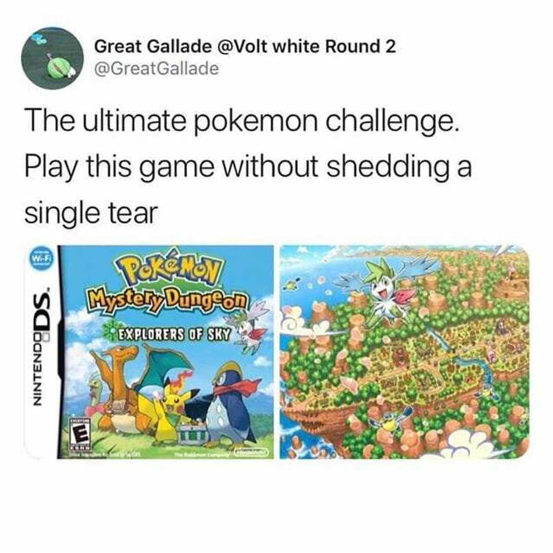 Pokemon memes