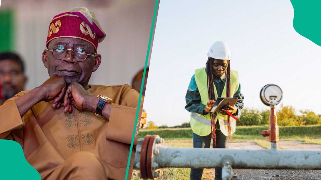 FG speaks on major oil deal amid Nigeria's fuel crisis FG speaks on major oil deal amid Nigeria's fuel crisis