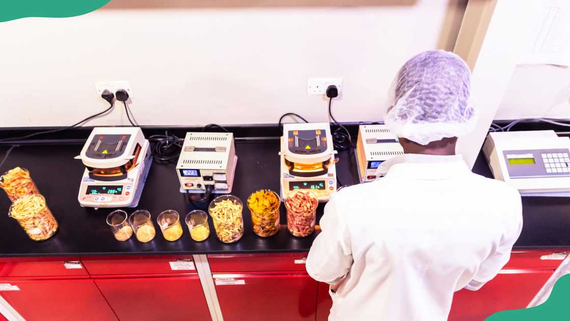 A person performing food quality checks A person performing food quality checks