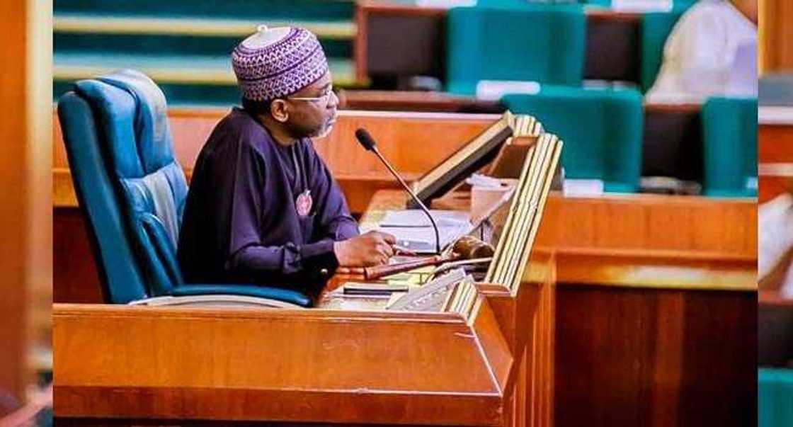 Lawmakers want 200 new universities, colleges in Nigeria Lawmakers want 200 new universities, colleges in Nigeria