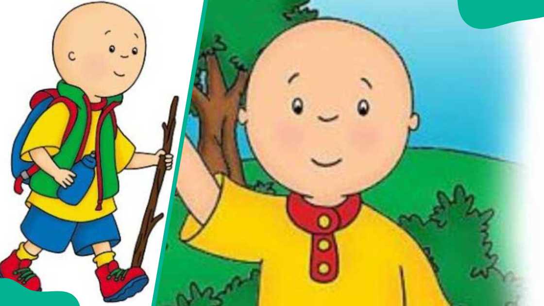 Bald head cartoon character Caillou Bald head cartoon character Caillou
