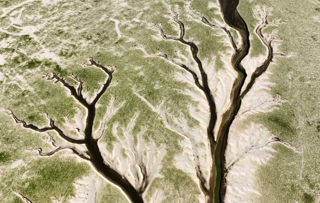 Producers in Europe and China have warned of significantly lower than expected harvests in crop staples due to the dry spell Producers in Europe and China have warned of significantly lower than expected harvests in crop staples due to the dry spell