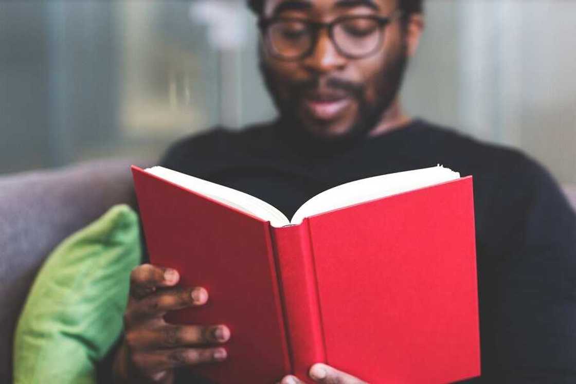 Get knowledge about how to invest in agriculture in Nigeria Get knowledge about how to invest in agriculture in Nigeria