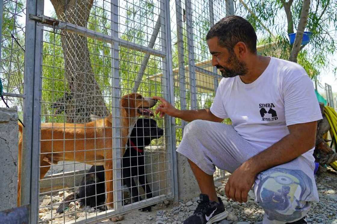Dog shelters in Cyprus are overflowingwith canines adopted by people at the height of the Covid pandemic to beat lockdowns being dumped as the cost of living soars Dog shelters in Cyprus are overflowingwith canines adopted by people at the height of the Covid pandemic to beat lockdowns being dumped as the cost of living soars