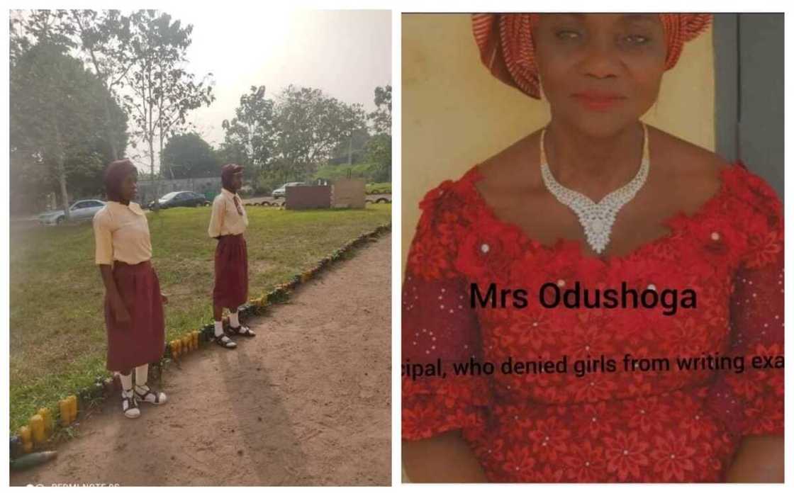 Shugabar Makarantar Shugabar Makarantar