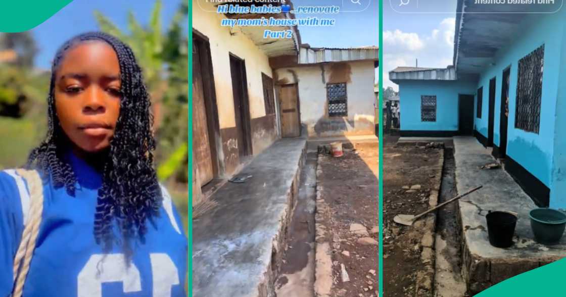 House renovation with paint/Ceilings and chairs House renovation with paint/Ceilings and chairs