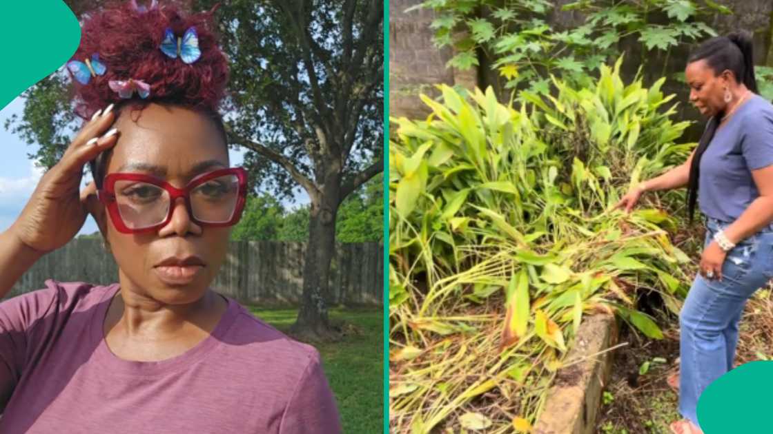 Lady shares business she now engages in after relocating to Nigeria Lady shares business she now engages in after relocating to Nigeria