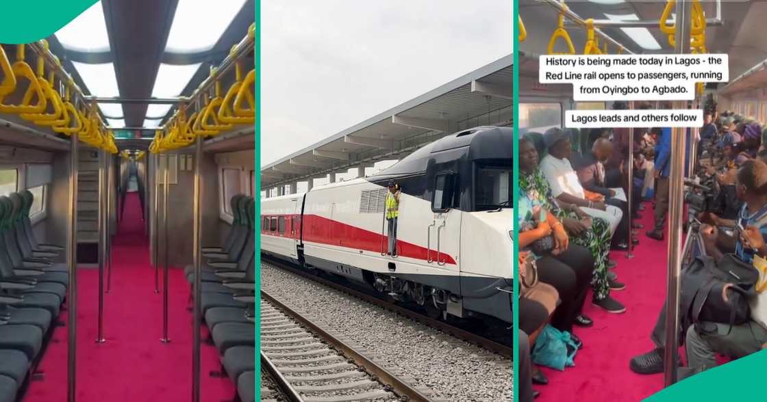 Red Line Rail fares/Train's interior.