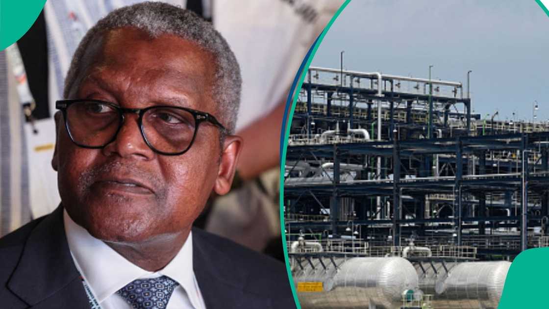 Dangote Dangote