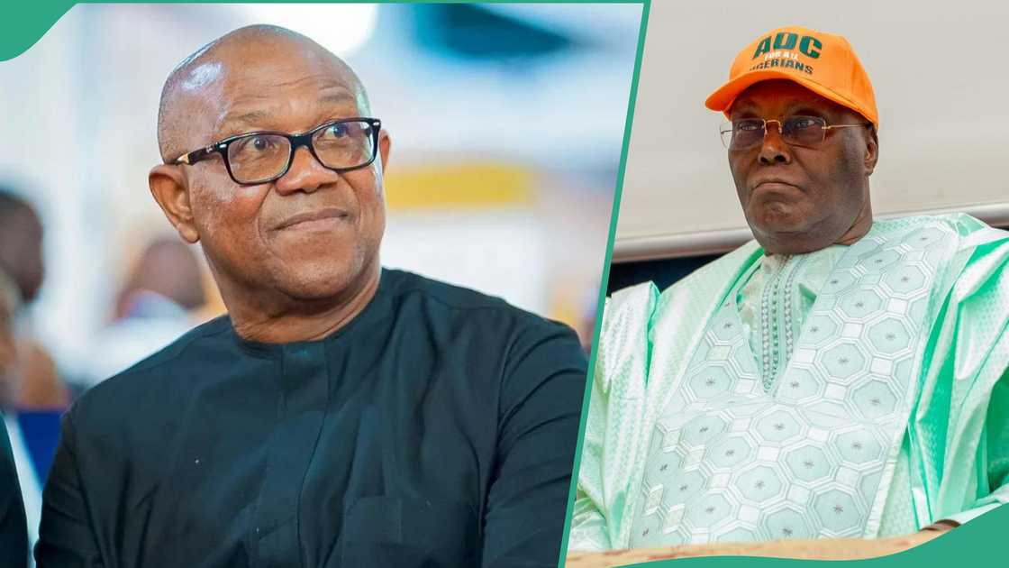 Professor sends key message to Peter Obi ahead of 2027 elections